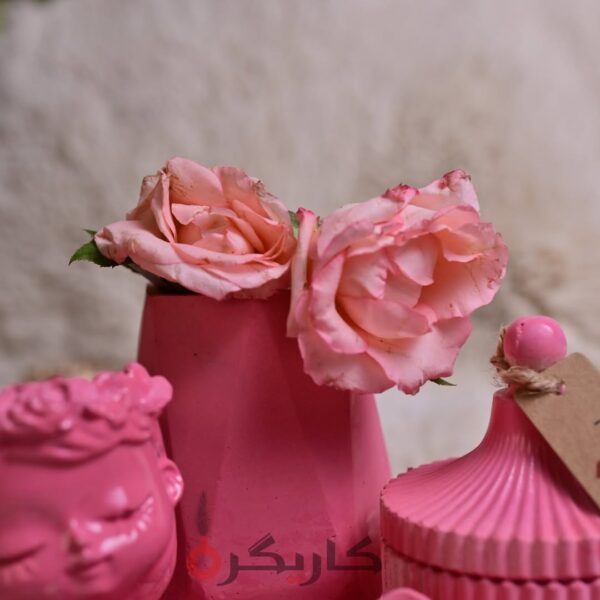 Elegant and Beautiful Pink Home Decor (Set of 5) | Karigra - Image 4